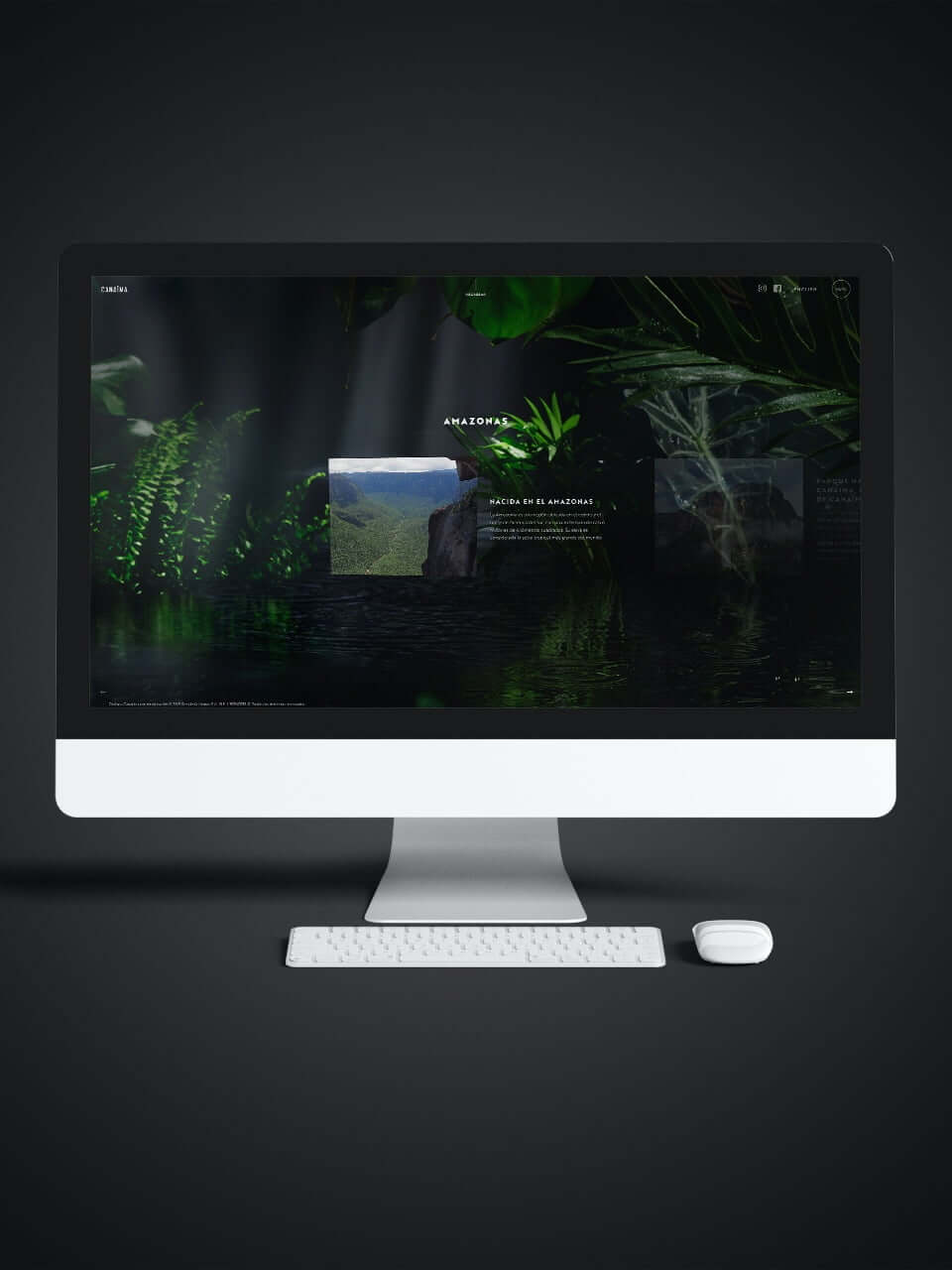 Canaïma Gin website