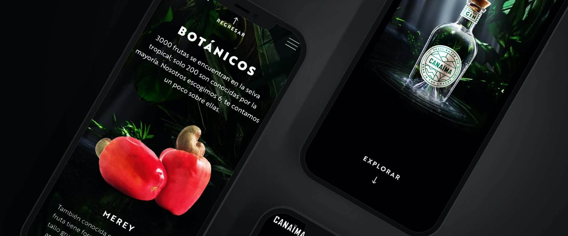 Canaïma Gin website
