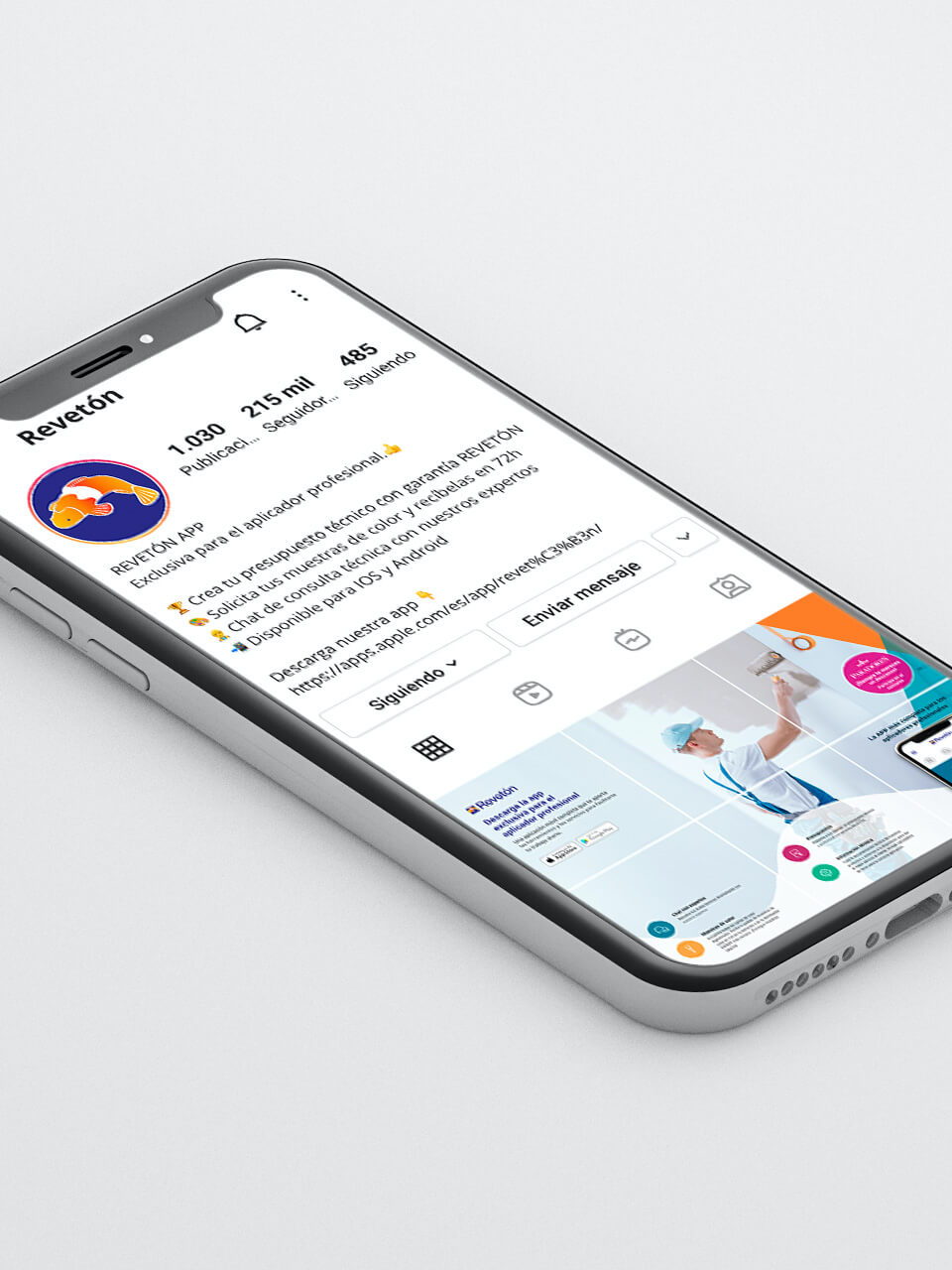 The professional painter’s app