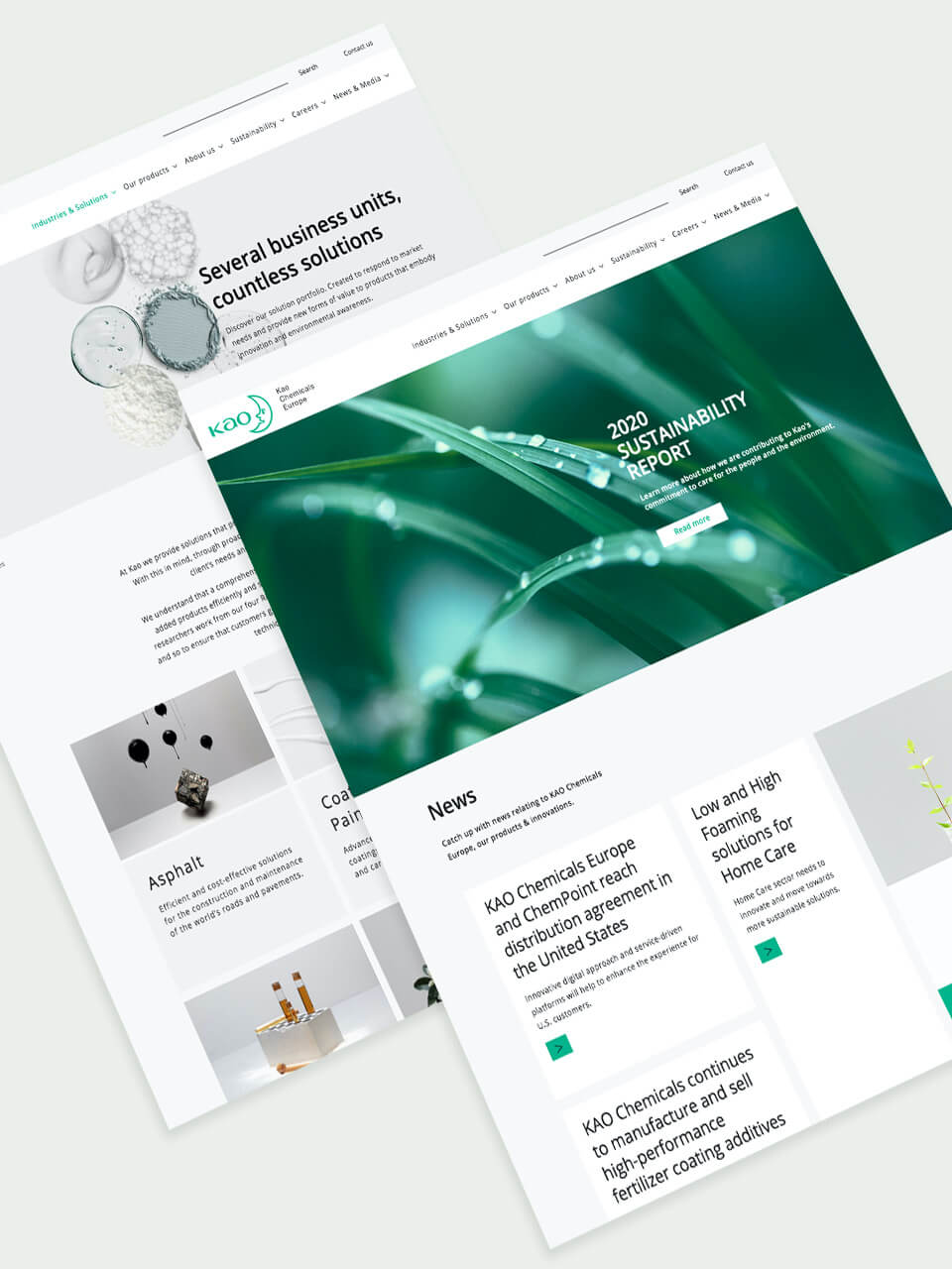 Kao Chemicals international website development