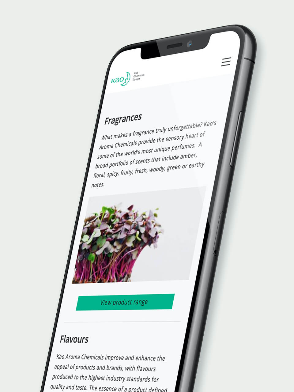 Kao Chemicals international website development