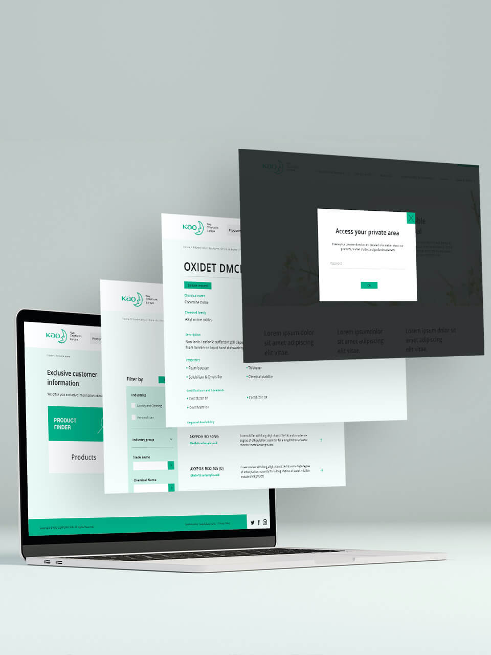 Kao Chemicals international website development