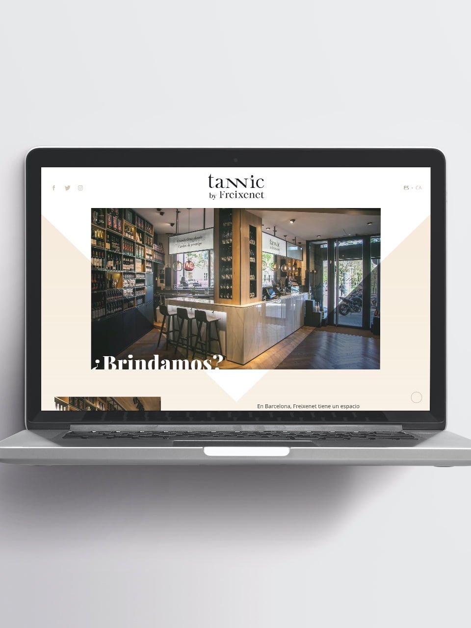 Online presence for Tannic by Freixenet