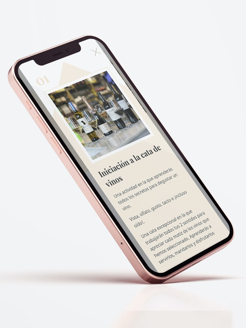 Online presence for Tannic by Freixenet