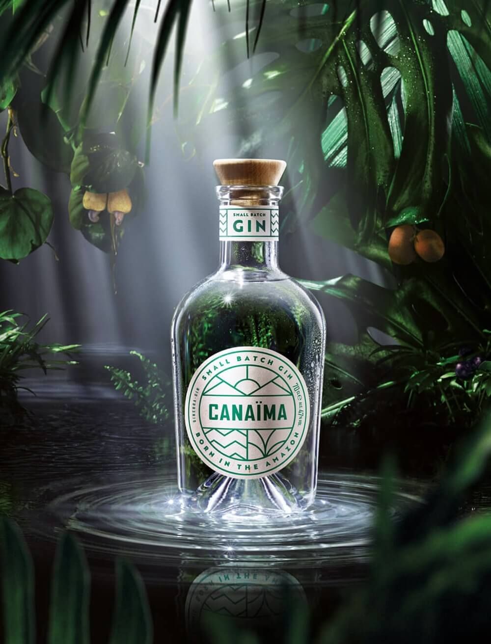 Site para Canaïma Gin
